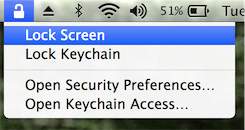 Keychain Lock